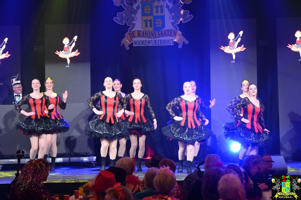 ../Images/Seniorencarnaval 2026 060.jpg